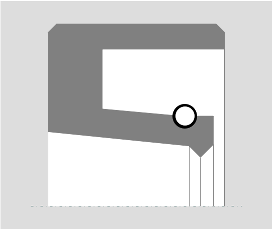 PTFE Wellendichtring RD01PT